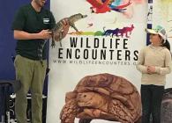 Wildlife Encounters Assembly