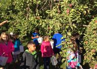Kindergarten Deck's Apple Orchard